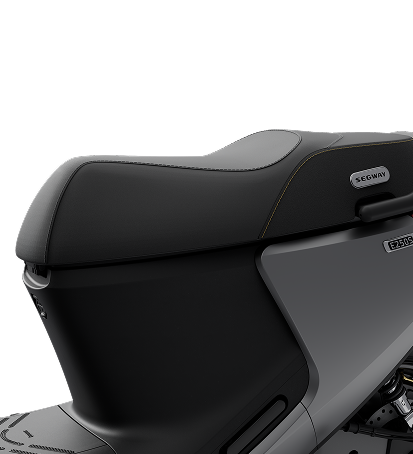 Segway E250S