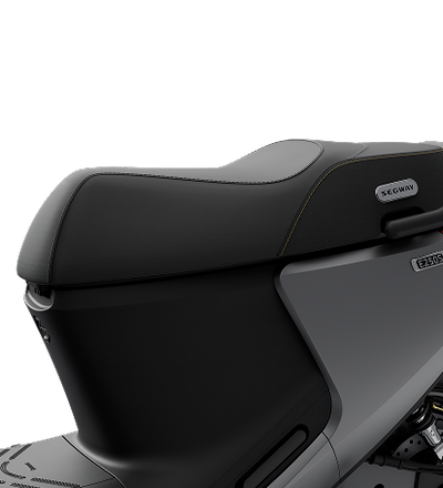 Segway E250S